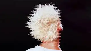 SACHI - Whole Again 2.0 (with FOVOS)