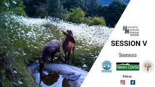 Session V MMF 2020