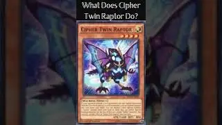 What Does Cipher Twin Raptor Do? (Yugioh Cards Explained for Easy Deck Building)