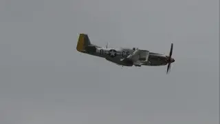2019 Culpeper Air Fest - RT Dickson & P-51D Mustang