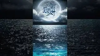 27 November 2025