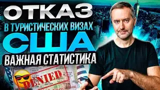 Виза США. Статистика отказов и одобрений Американских виз.