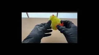Daiso Chick Toy ASMR | Wind-up Walking Chick 🐤 | Japanese 100-Yen Store Toy