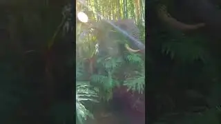 Disney Jungle Cruise Ride POV #disneyworld #magickingdom #junglecruise #shorts