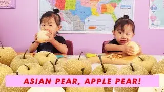 Kids Learning Video: Learn Eat Play - Fruit Names + Asian Pear, Apple Pear + Silly Music & Songs