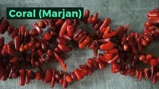 Coral Marjan Stone Characteristic, Meaning, and benefits