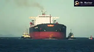 Ship What'app Status || Marine Thug Life || Marine Engineering || Sailor Life At Sea...🏄
