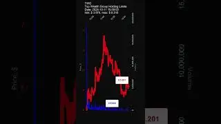 TWG, Top Wealth Group Holding Limite stock prices on 2024-10-11, 15:59:00 #TWG