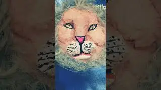 Rate this lion mask  ....