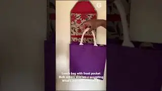 An Elegant Jute Lunch bag