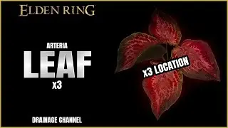 Elden Ring | Arteria Leaf x3 Location | Drainage Channel