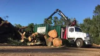 Time lapse 2 Prentice Loader, A Budget Tree Service