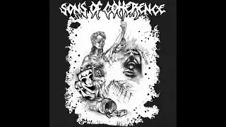 Sons Of Coherence - Clip @ Thurbin&auml;, Winterthur - 12.08.2022