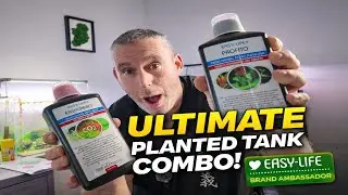Easy Life Easy Carbo + Profito | Идеальное сочетание для аквариумов с растениями