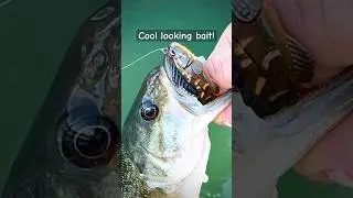 Megabass Dark Sleeper &mdash; очень крутая приманка! #рыбалка #шорты