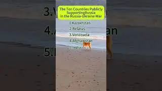 Countries Supporting Russia in the Russia-Ukraine Conflict: A Visual Overview