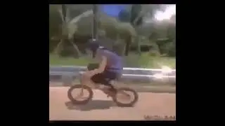 Gay Cycle