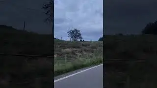 #cruisinglife