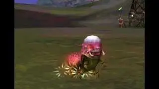 clip0029