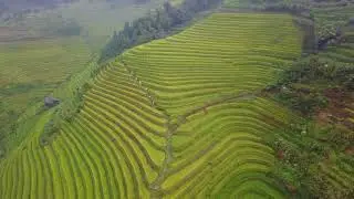 廣西龍勝龍脊梯田Longsheng county(航拍4K)