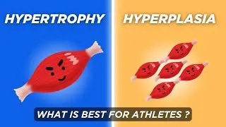 Build STRENGTH using Hyperplasia | Factors affecting strength | Hypertrophy vs Hyperplasia