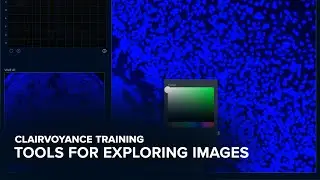 Tools For Exploring Images | Clairvoyance