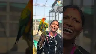 | Bhavishya High School, Hanmakonda | ONE DAY KISAN | #birdaviary #birdsfeeding #birds #schoolpicnic