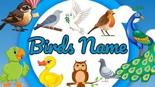 Birds name in English | birds name for kids | learn birds name #birdsnameforkids