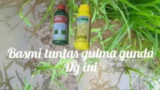 basmi tuntas gulma gunda dg ini