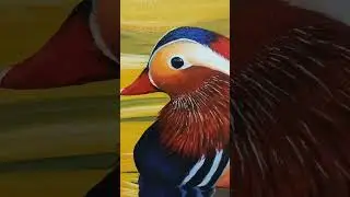 Mandarin duck oil painting  #art#oilpainting#satisfying#viral#shorts#shortvideo#love#drawing#funny