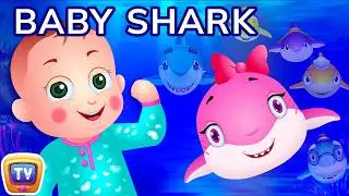 Baby Shark Song | Sing and Dance | Animal Songs for Children | ChuChu TV Nursery Rhymes & Kids Songs