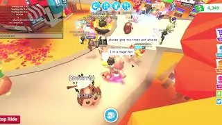 Giving Random People there dream pets