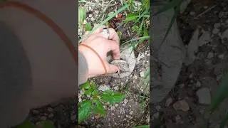 #nature is lit! puzzles made of #rocks while #hiking