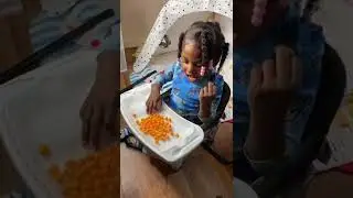 Booster High Chair Seat With Table and Tray for Baby and Toddlers