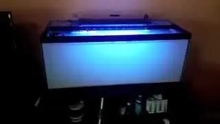 How to setup a 20 gallon nano reef tank, CaribSea Arag-Alive sand