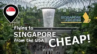 Using Miles and Credit Cards to Fly to Singapore CHEAP!