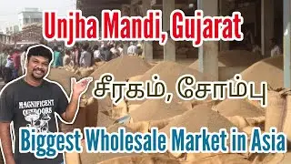 Unjha mandi, Gujarat / சோம்பு, சீரகம் biggest market in Asia #wholesale #fennel #unjha