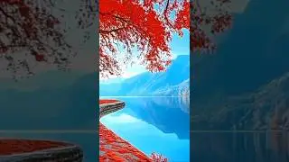 Mesmerizing Flower Gardens | Beautiful Blossoms to Uplift Your Spirit 🌺🌿 | #shorts