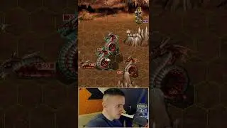 Heroes 3: I defeated 2000 Haspid 😱🔥🐍 #heroes3 #gaming #homm #funny #homm3 #streamclips #games