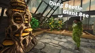 Med a hnojivo ( Dung Beetle a Giant Bee taming ) - Ark Survival Ascended CZ/SK