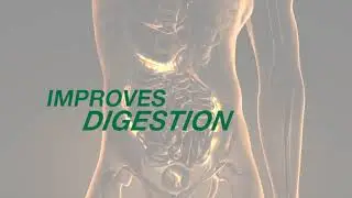 Nopalina Colon Detox