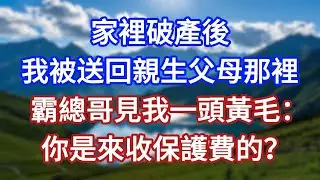 家裡破產後，我被送回親生父母那裡，霸總哥見我一頭黃毛：你是來收保護費的？#言情故事#情感故事#家庭故事#小說#戀愛#婚姻