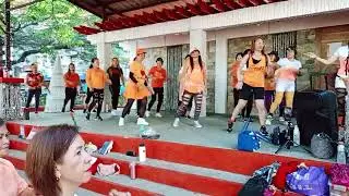 SAY YOU'LL NEVER BY LIAN ROSS (REMIX) - SENIOR MOVES ZUMBA