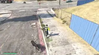 [FREE] [ESX] Fivem Dog Catcher job script