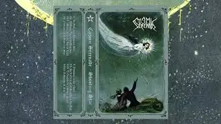 Cosmic Serenade - Shooting Star (2024)
