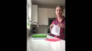 Siliskin reusable snack bags