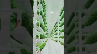 Что нас ждет в будущем  #gaming #cute #gameplay