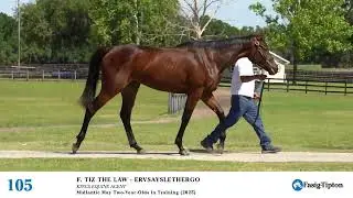 HIP 105 Midlantic May Two Year Olds in Training