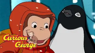 An Artic Adventure!! 🐵 Curious George 🐵 Kids Cartoon 🐵 Kids Movies