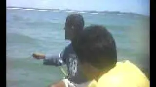 tarpon ou camurupin